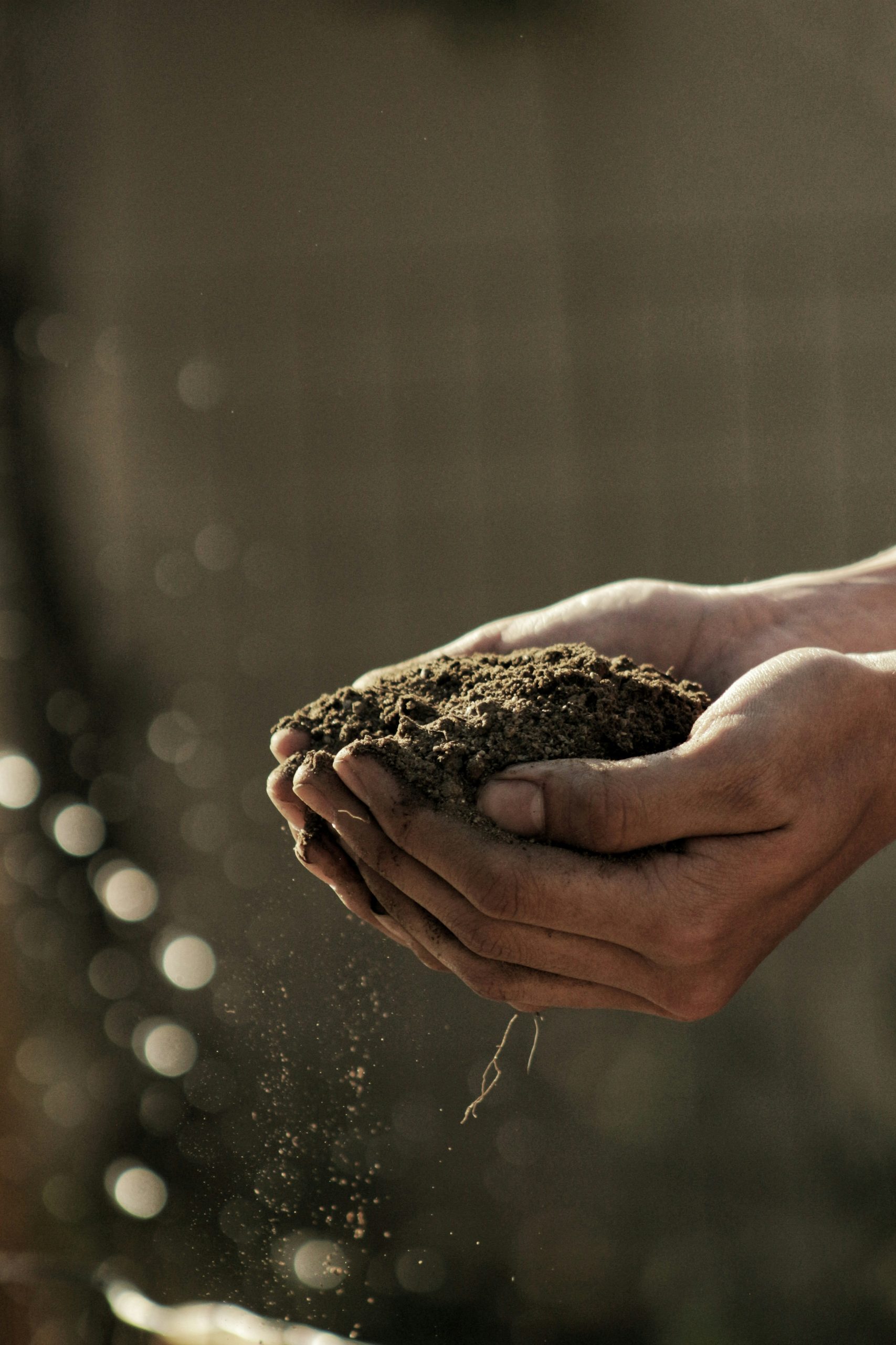 Agricultural insurance coverage
